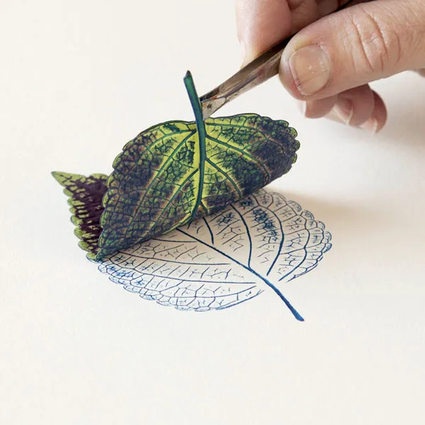 Nature Printing with Leaves and Flowers